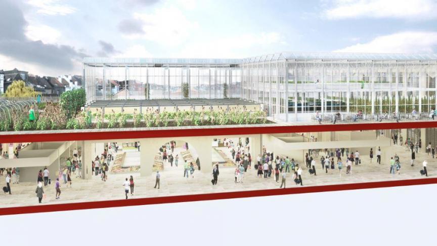 In het Brusselse Hoofdstedelijke Gewest is er momenteel naar schatting een areaal van ongeveer 250 ha dat wordt gebruikt voor stadslandbouw.