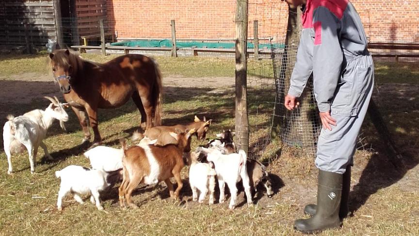 Betty biedt alle zorggasten de huiselijkheid die ze nodig hebben.