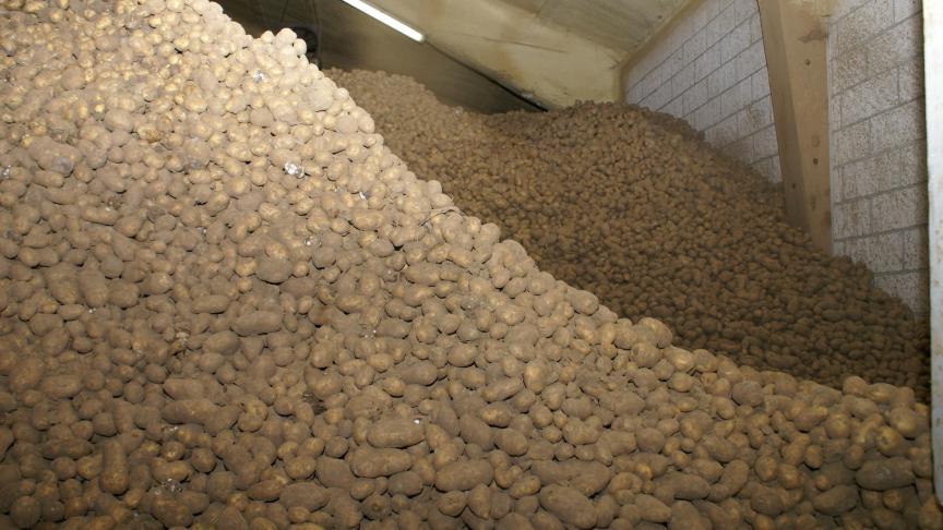 Belpotato wil met harde cijfers naar de overheid kunnen stappen, om de kans op steun te vergroten.