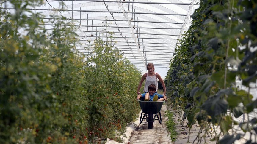 belgaimage-83464229-full