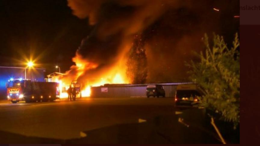 Volgens de directeur van de slachterij is de brand aangestoken.