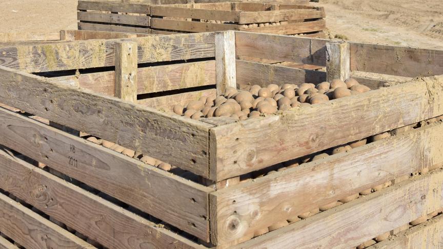 Ruim 70% van de ondervraagde landbouwers geeft aan een lagere prijs te ontvangen voor hun verkochte landbouwproducten