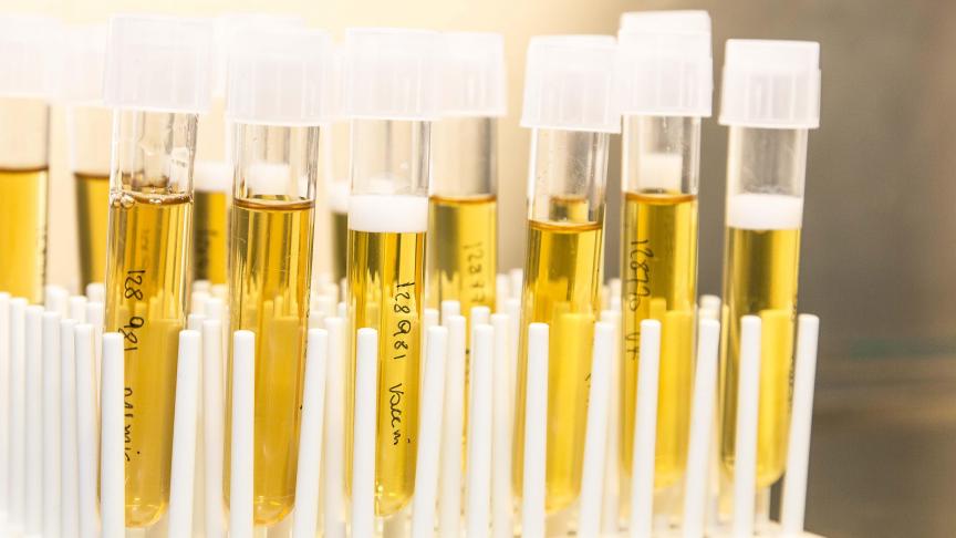 Poulpharm produceert autogene vaccins en bijhorende diagnostische testen voor kippen en varkens.