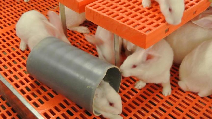 Sinds enkele jaren heeft Vlaanderen voluit gekozen voor parkhuishouding.