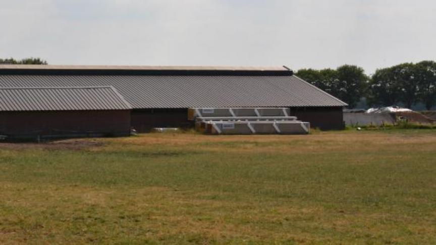 Z owel Nederland als Vlaanderen kiest vo or een structurele aanpak van de stikstofproblematiek .