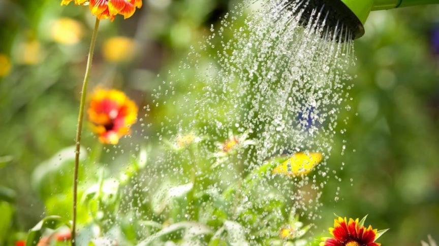 water in de tuin (2)