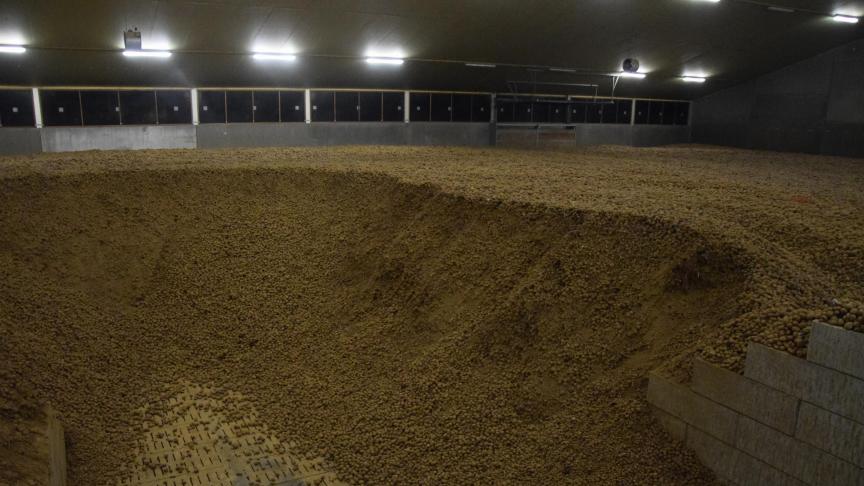 CIPC is een populaire kiemremmer die Europees verboden wordt.