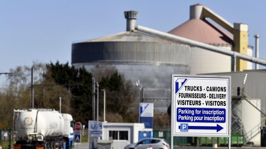 De Tiense Suikerraffinaderij is met afstand de grootste suikerverwerker van ons land.