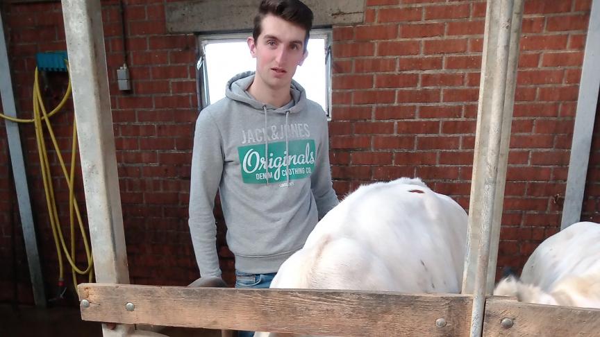 Werken tussen en met dieren is de mooiste stiel die er is, volgens Wouter Van Miert.