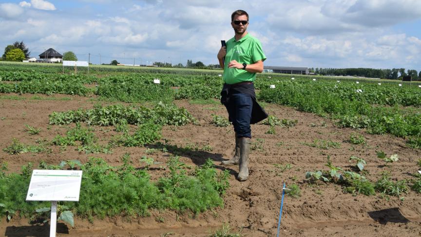 In een onkruidproef werd duidelijk dat Proman als versterkende factor werkt, aldus Stef Dierickx.