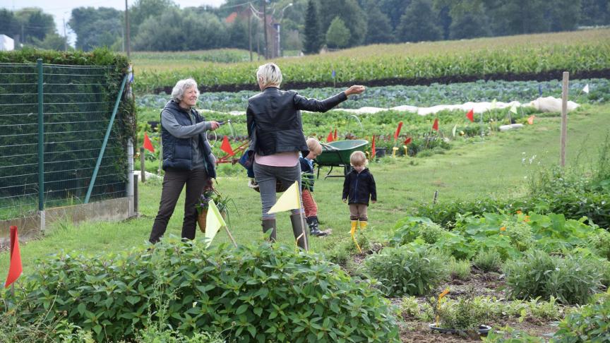 Ngo’s roepen op tot meer kleinschalige landbouw.