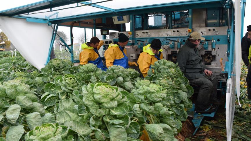 Crevits trekt onder meer geld uit voor een verpakkingsmachine voor spruiten.