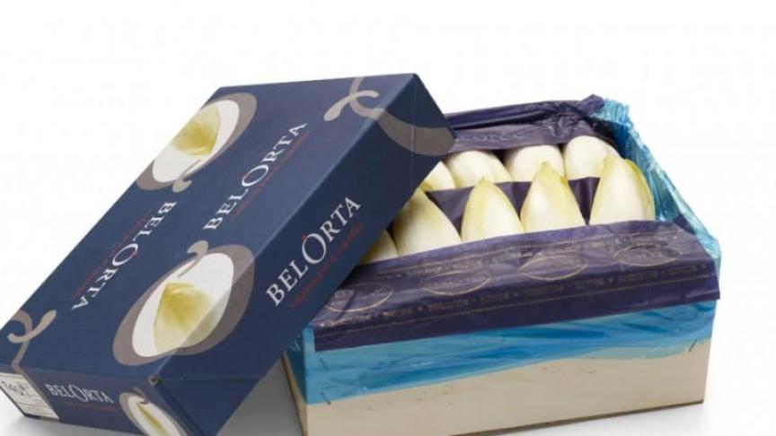 Witloof wordt geëxporteerd naar landen als Japan, USA, Canada, maar ook naar het Midden-Oosten, Afrika en Centraal-Amerika. Dat doet onder meer veiling BelOrta.