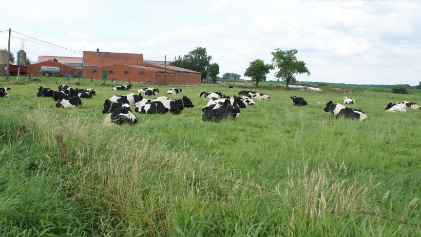 Volgens de EMB ligt de werkelijke kostprijs van melkveehouders op ruim 46 cent per kg.