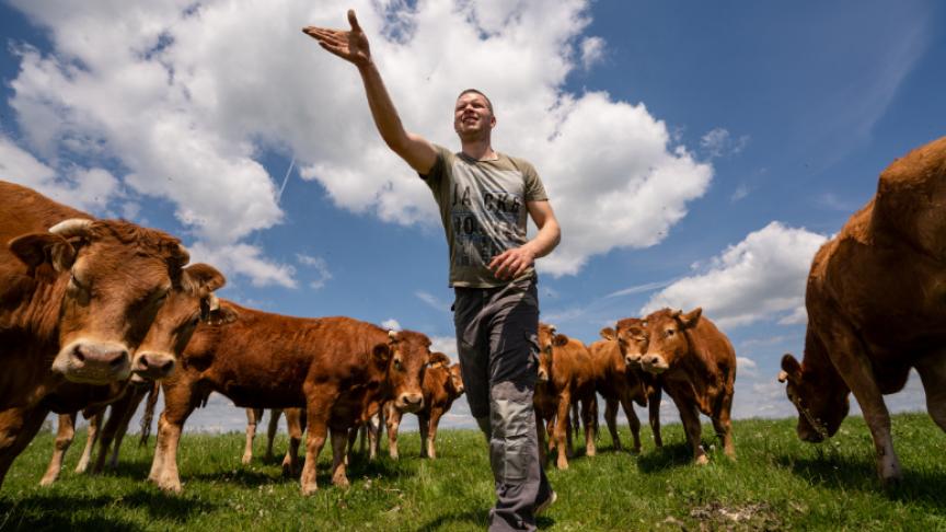 Sainbiooz kan wellicht na een jaar meer vleesveehouders verwelkomen.