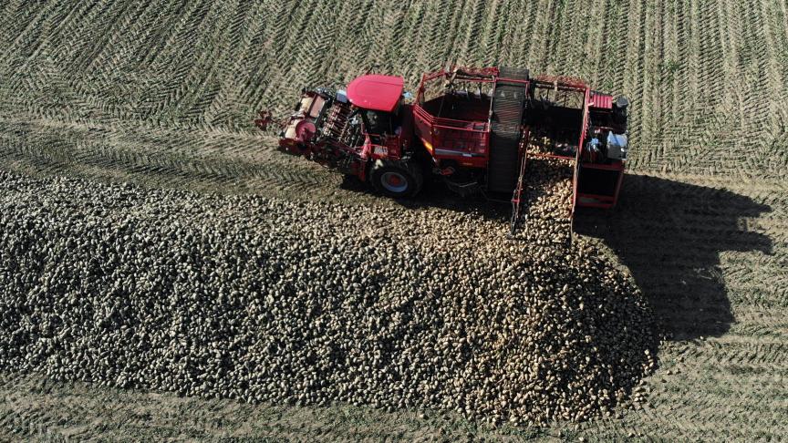 CoBT zal volgens planning de bieten van 1.400 telers verwerken.