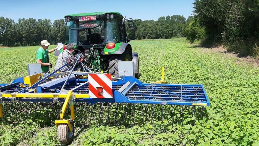 De Bousies gebruikte binnen de samenwerking alvast een splinternieuwe Treffler wiedeg van ILVO voor de bestrijding van melganzevoet in boekweit.