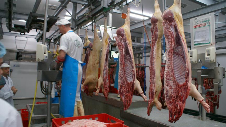 De voorbije weken kregen ook al enkele buitenlandse slachthuizen te maken met (zware) corona-uitbraken.