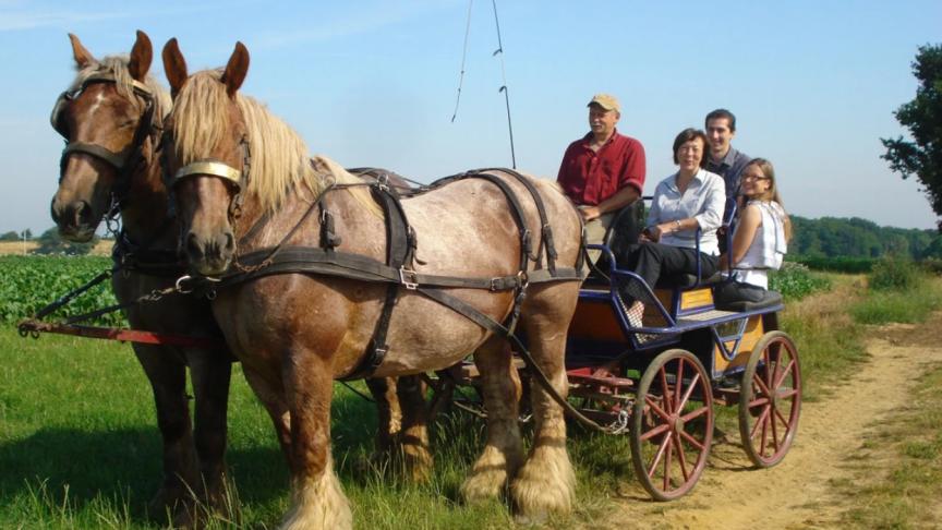 De koetstochten door Nederokkerzeel (Kampenhout) en Galmaarden kan men bekijken via het Youtube-kanaal van Toerisme Vlaams-Brabant.