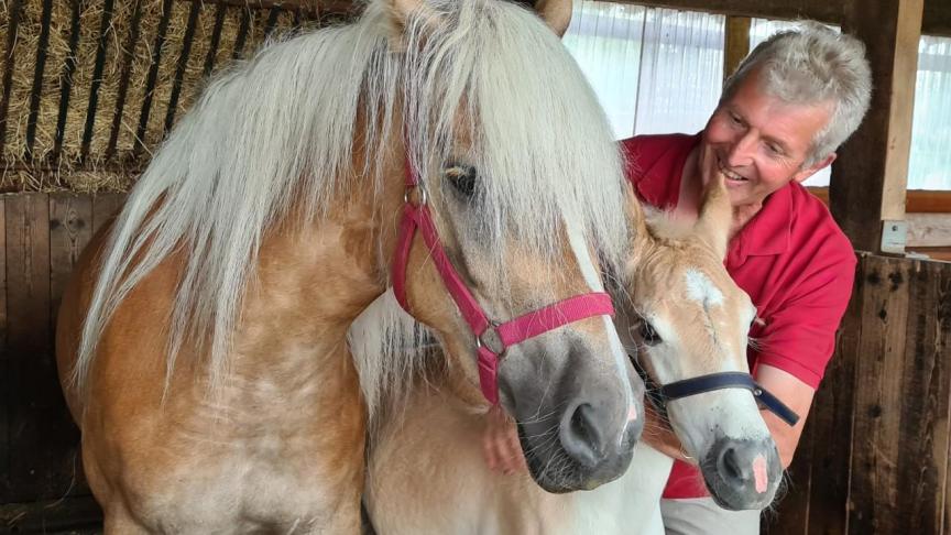 Johan Rutsaert uit Aalter met haflingermerrie en hengstveulen.