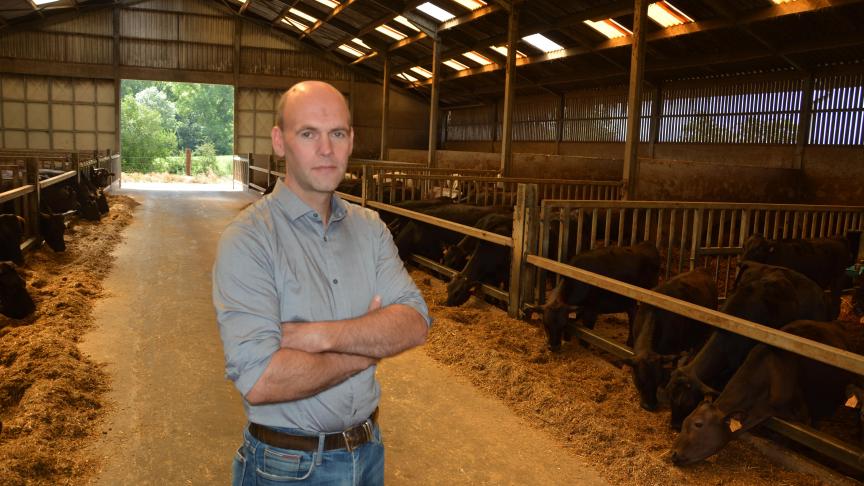Filip Meysmans houdt sinds 2007 Wagyu-runderen. Het gaat om een Japans ras.