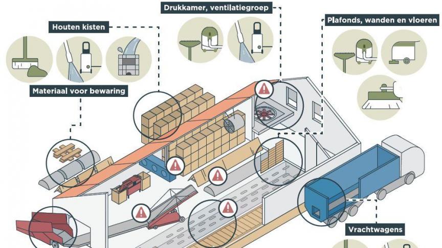 Instructieschema om met CIPC besmet materiaal en loodsen te reinigen.