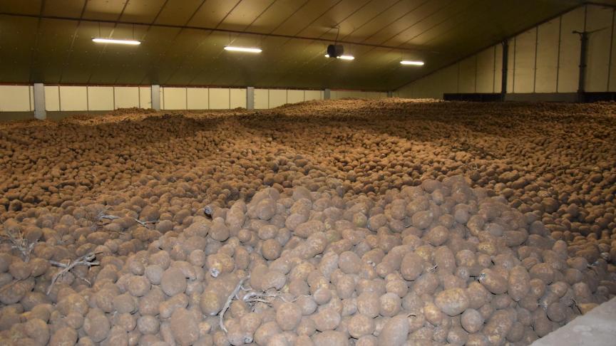 De bemonstering is van cruciaal belang om de komende jaren nog met een tMRL te kunnen blijven werken, zo niet dreigt de sector op een detectielimiet van 0,01 ppm CIPC te komen.