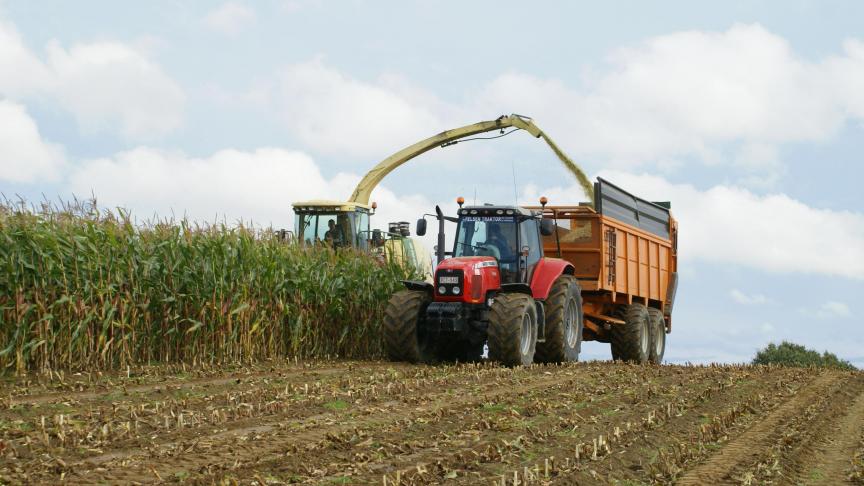 In de praktijk zien we nog maar weinig hakselaars uitrijden terwijl er nu toch al heel wat percelen in een oogstrijp stadium zitten.