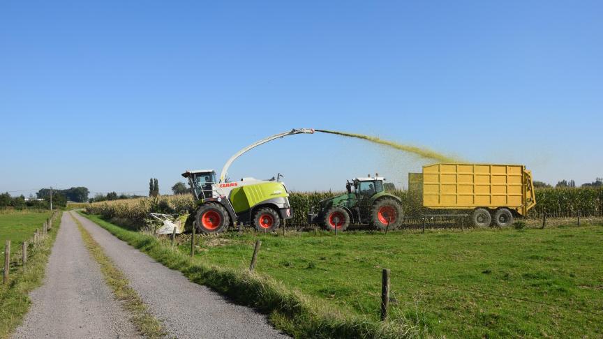 De warme, zomerse week zal ongetwijfeld de afrijping nog in een stroomversnelling brengen. Er zal overal volop worden gehakseld.