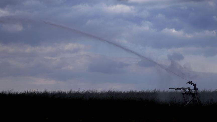 De droogte speelde de Belgische landbouw de afgelopen jaren al parten.