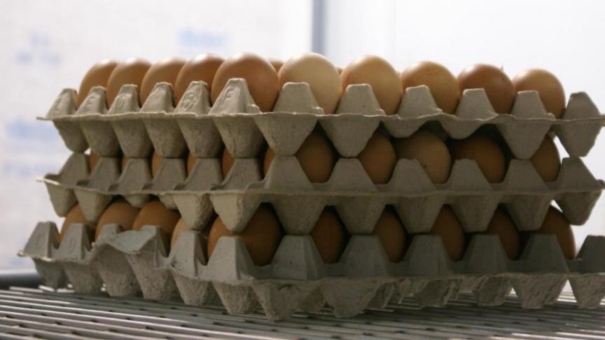De stof 'fipronil' zou bewust zijn toegevoegd aan een 100% natuurlijk product om onder meer bloedluizen bij pluimvee te bestrijden.