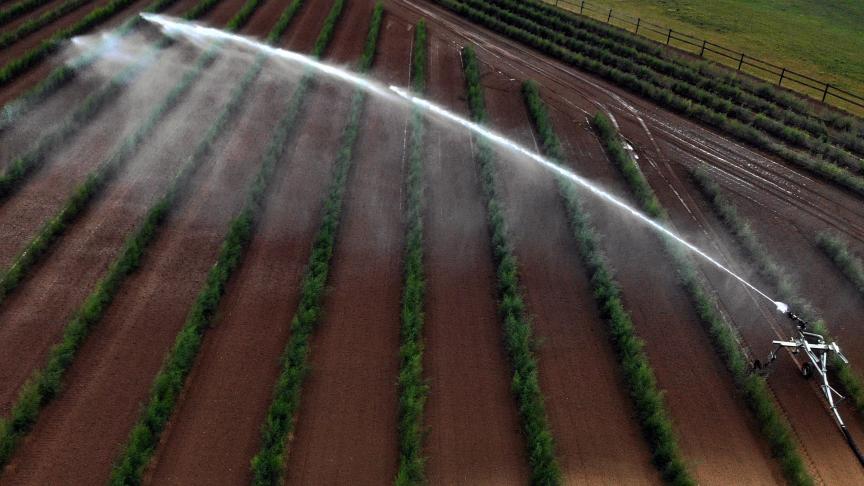 Water is een schaars goed, ook in de landbouw.