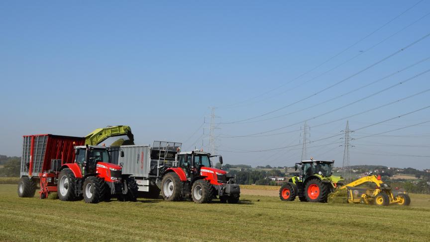 Ludo Pauwels toont een nieuwe manier van gras oprapen.