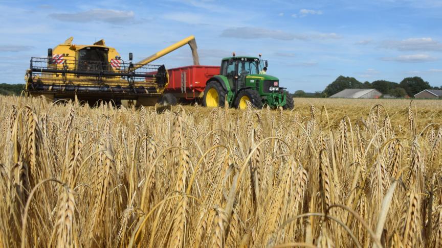 Het droge voorjaar heeft onmiskenbaar zijn invloed gehad op het prestatievermogen van de wintergerstrassen.