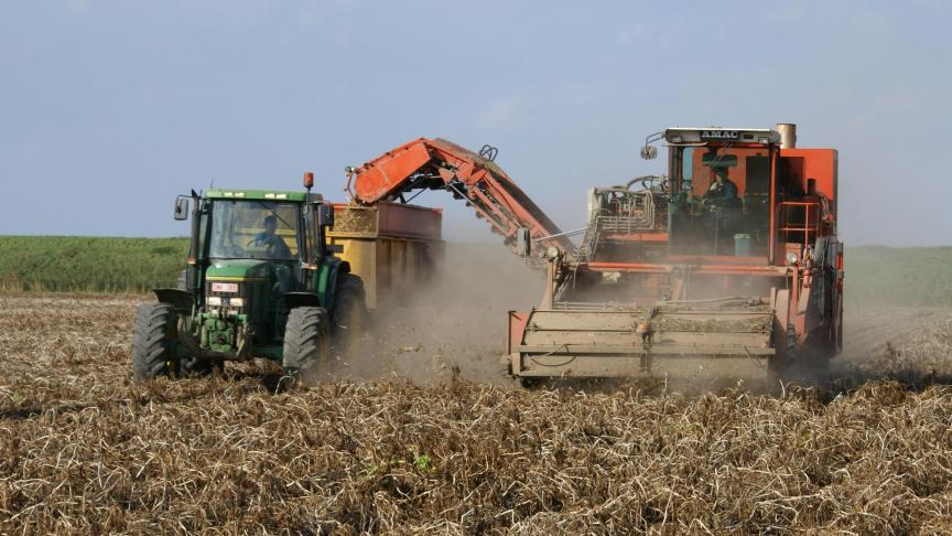 Het gaat om rechtstreekse subsidies die zowel aan telers als aan opslagbedrijven ten goede kunnen komen.