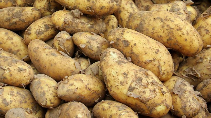 EAPR is een wetenschappelijk platform dat in Europa alle aspecten van de aardappelketen bestrijkt.