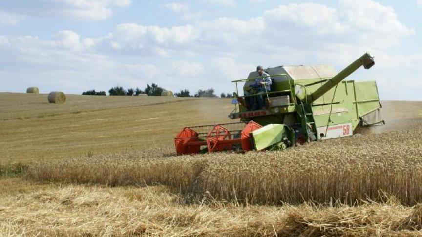 Slechts in 11,4
% van de stalen werd in 2020 minstens 1 mycotoxine ontdekt.