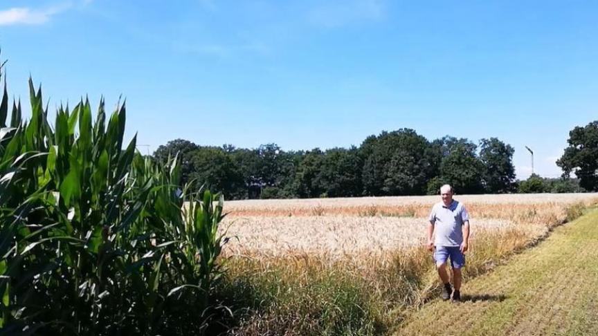 melkveepicknick-teeltrotatie