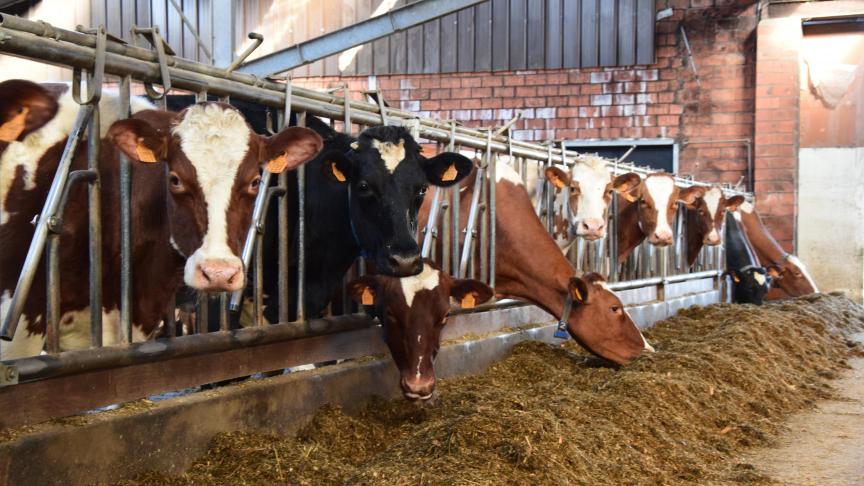 ILVO wil boeren helpen hun bestaande bedrijfsmodel aan te scherpen.