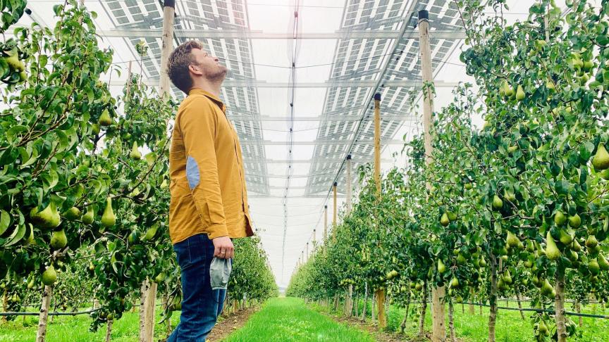 Onderzoeker Thomas Reher:  We gaan een rekentool ontwikkelen om de optimale opbrengst onder zonnepanelen te voorspellen. Agrivoltaics moeten de juiste balans vinden tussen een rendabele perenoogst en extra elektriciteit.