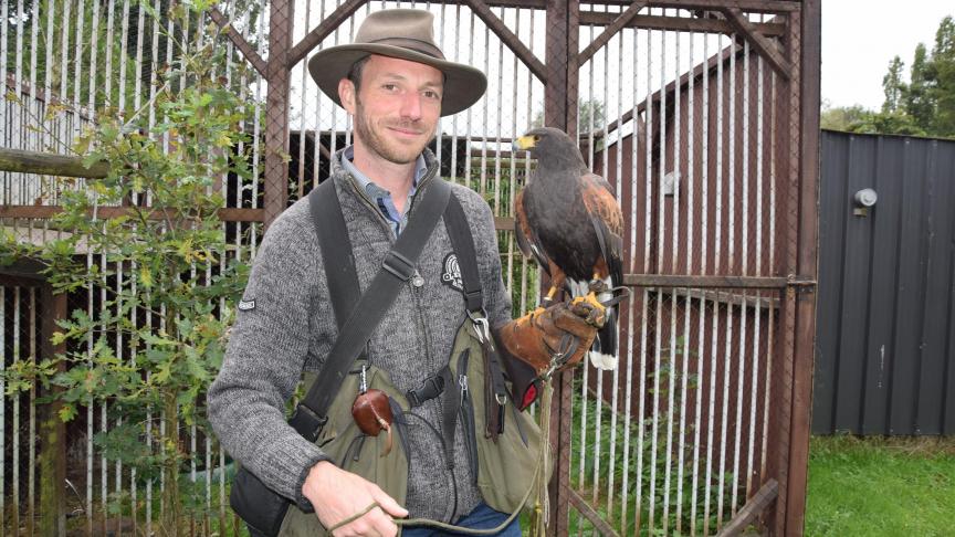 Belangrijk is dat de roofvogel vertrouwen heeft in zijn valkenier.