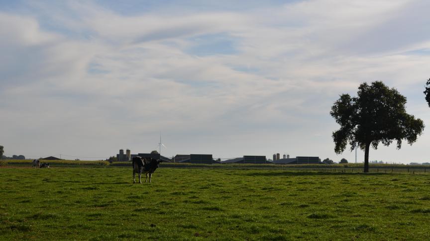 De verstedelijking en groei van de landbouw dragen mondiaal bij aan een verlies aan biodiversiteit, aldus het Europees Milieu-agentschap.