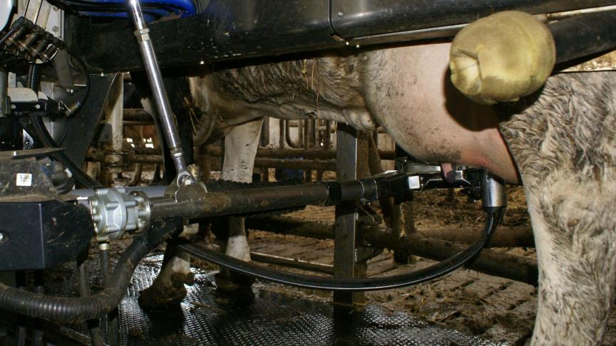 Voor de 4de achtereenvolgende maand is de gemiddelde melkprijs gestegen.