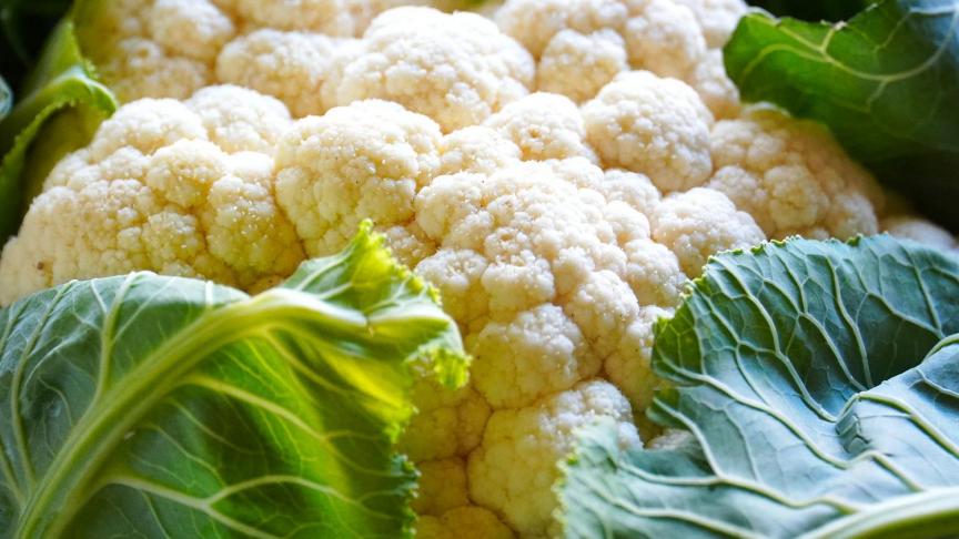 De verbetering van het tuinbouwindexcijfer werd meer bepaald gedreven door de stijging van de prijs voor bloemkool.