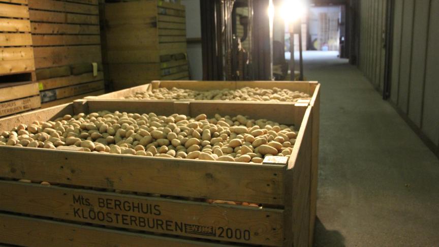 Door de acquisitie van de consumptietak van het Nederlandse Agrico in Frankrijk kreeg Aviko er in 2011 in Noord-Frankrijk een inkoopgebied bij. Zelhorst: “Agrico had hier met name een inkoopgebied vanwege haar pootgoedactiviteiten in Frankrijk.”