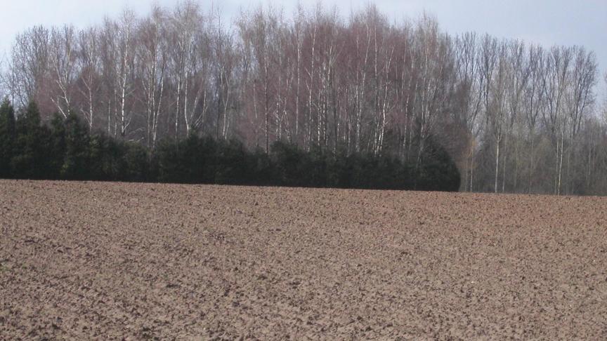 Vlaamse boeren gaan correct om met het gebruik van Europese middelen.