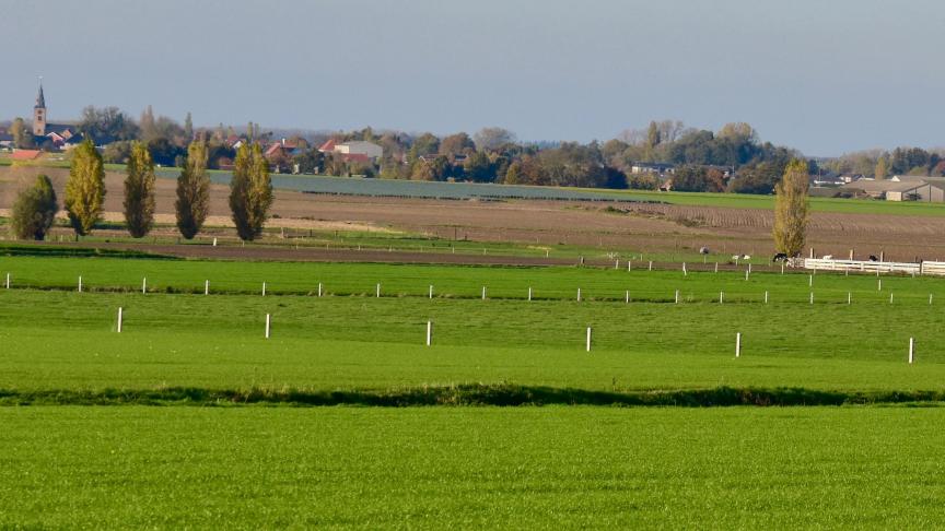 Een vlot vergunningsbeleid staat voor een ondernemersvriendelijk beleid maar milieu, duurzaamheid en dierenwelzijn zijn voor de provincie primordiaal.