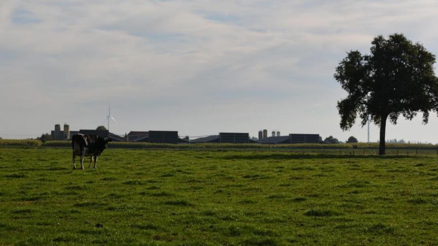 Volgens het INBO is een Vlaams herstelplan dringend nodig om de biodiversiteit te verbeteren.