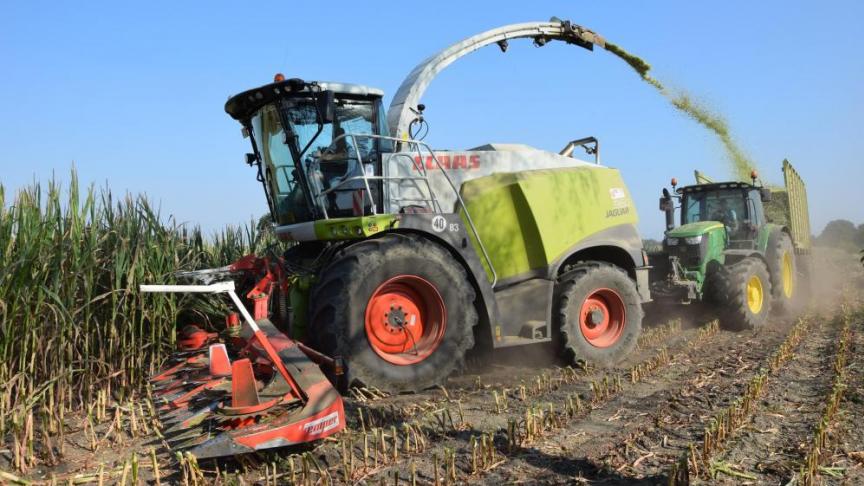 De maïsprijzen namen wat gas terug.