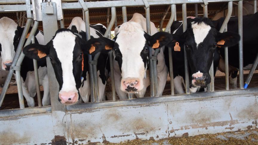 Over de oorzaak en het verloop van HBS zijn er nog steeds veel vragen.